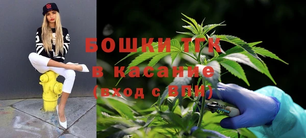 индика Богородск