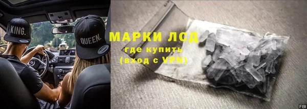 индика Богородск