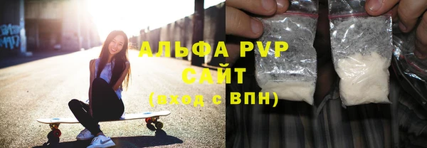 индика Богородск