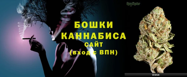 первитин Богородицк
