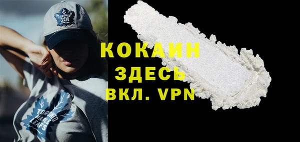 индика Богородск