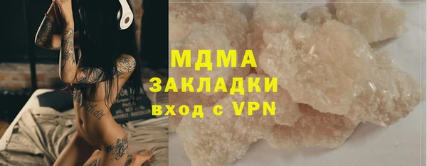 индика Богородск