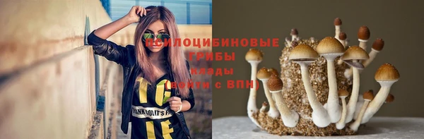 крисы Богданович
