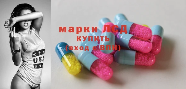 индика Богородск