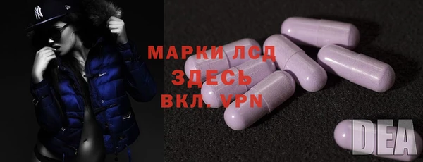 индика Богородск
