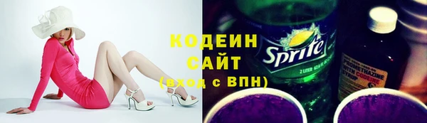 индика Богородск