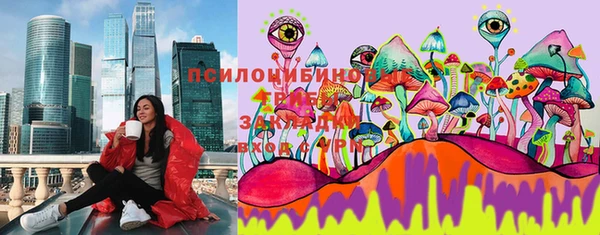 индика Богородск
