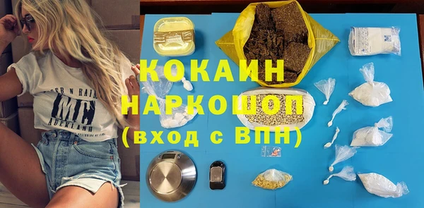 индика Богородск