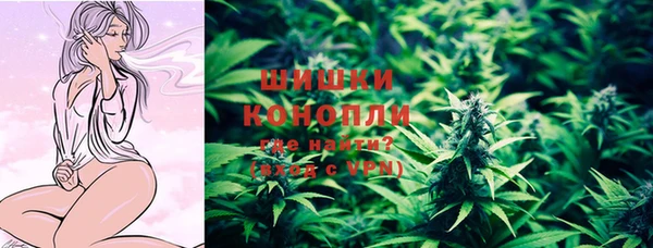 индика Богородск