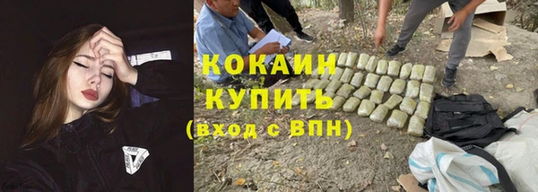 крисы Богданович