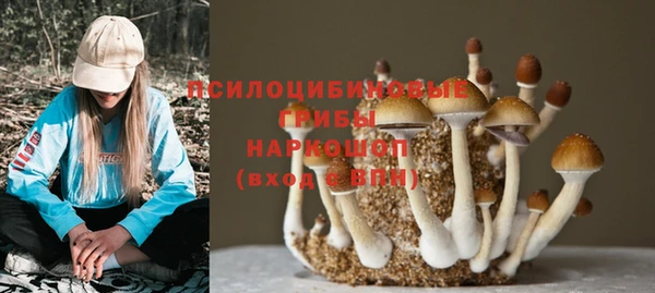 первитин Богородицк
