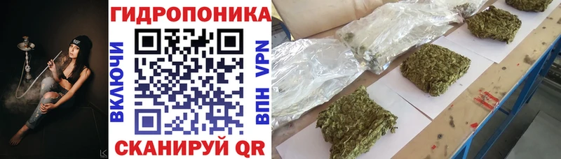 Каннабис конопля  Купить  Пучеж 